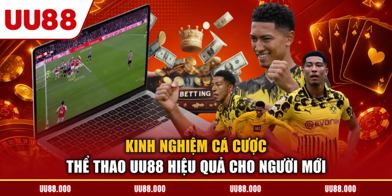 Kinh nghiệm cá cược thể thao UU88 hiệu quả cho người mới